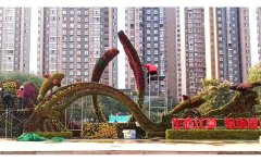 <b>湖北武漢-生態(tài)江夏，菊頌金秋大型五色草造型雕</b>