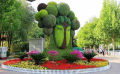 <b>特色五色草造型綠雕在城市、園林造景中的應(yīng)用</b>