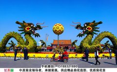 <b>嫁接型造型菊步驟、品種的選擇和嫁接方法</b>
