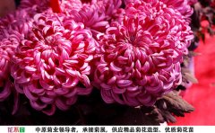 國華強大