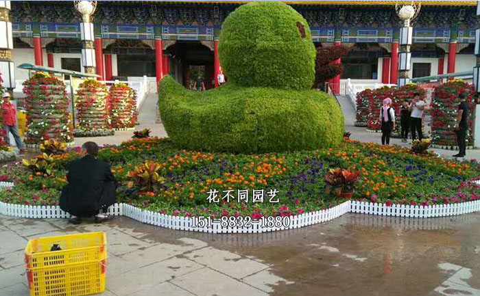 新疆簡(jiǎn)約五色草立體花壇現(xiàn)場(chǎng)實(shí)拍圖