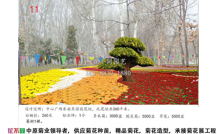 菊花展設(shè)計(jì)方案-色塊設(shè)計(jì)效果圖