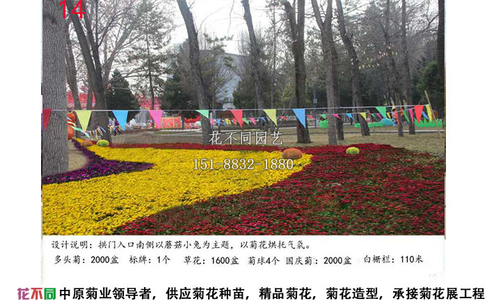 菊花展設(shè)計(jì)方案-色塊設(shè)計(jì)效果圖