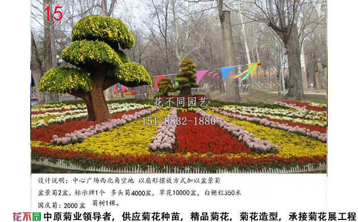菊花展設(shè)計(jì)方案-盆景菊設(shè)計(jì)效果圖