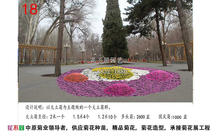 菊花展設(shè)計(jì)方案-大立菊設(shè)計(jì)效果圖