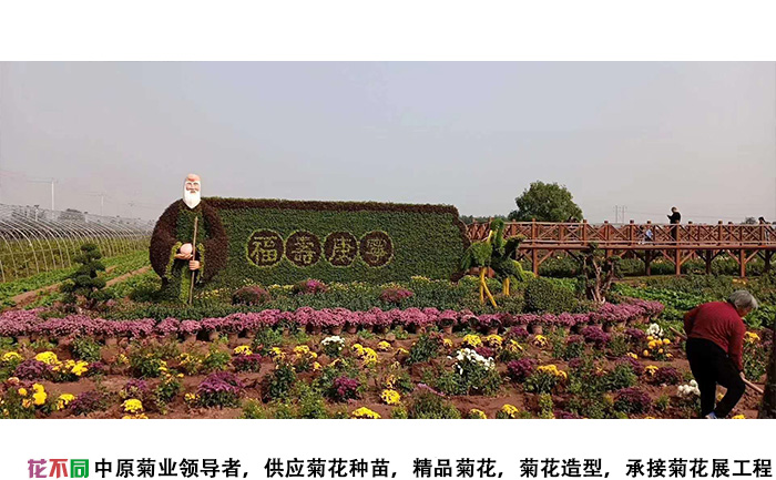 福祿康寧菊花展造型設(shè)計(jì)方案