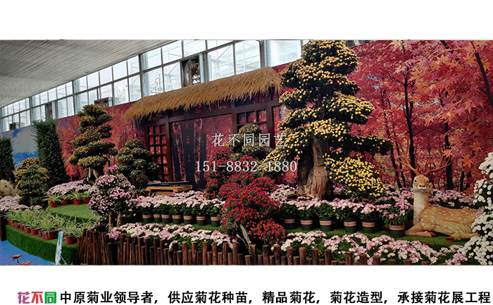 湖北菊花花會(huì)精品菊樹盆景展區(qū)設(shè)計(jì)圖