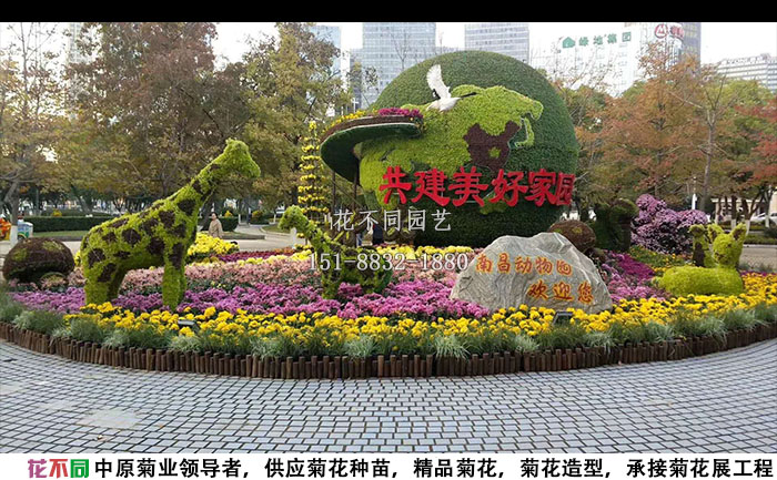 菊花展工程施工現(xiàn)場實(shí)拍圖