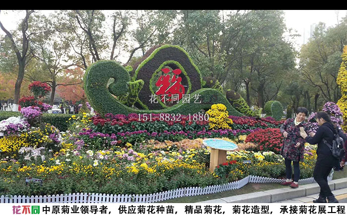 菊花展工程設(shè)計(jì)方案