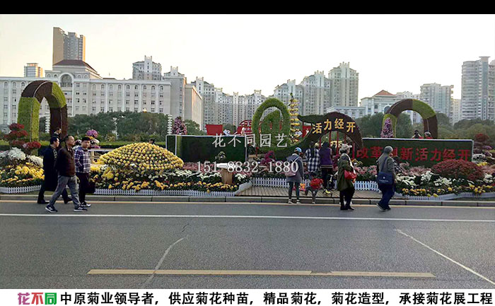 江西菊花展工程沿路展區(qū)實(shí)拍圖