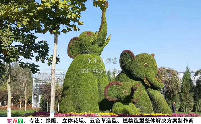 植物綠雕動(dòng)物造型-大象實(shí)拍圖
