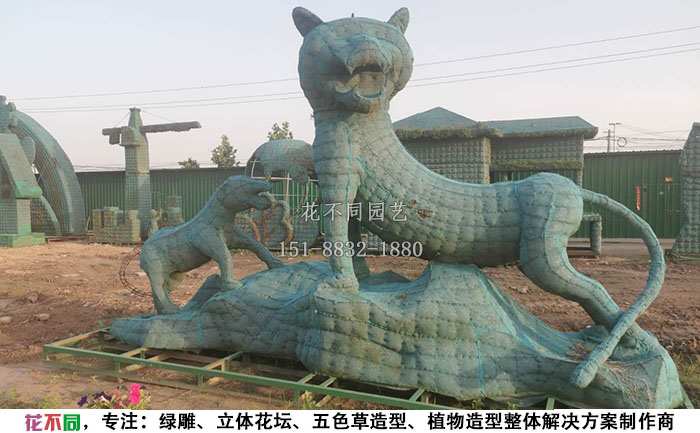 植物綠雕動(dòng)物造型骨架-老虎現(xiàn)場實(shí)拍圖