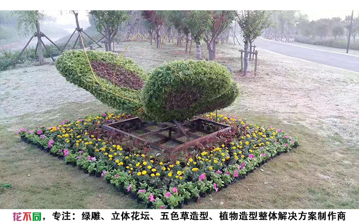動(dòng)物精光綠雕造型-蝴蝶現(xiàn)場(chǎng)實(shí)拍圖片