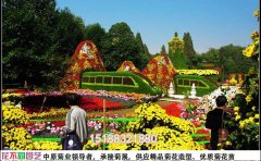 菊花展設計圖大全