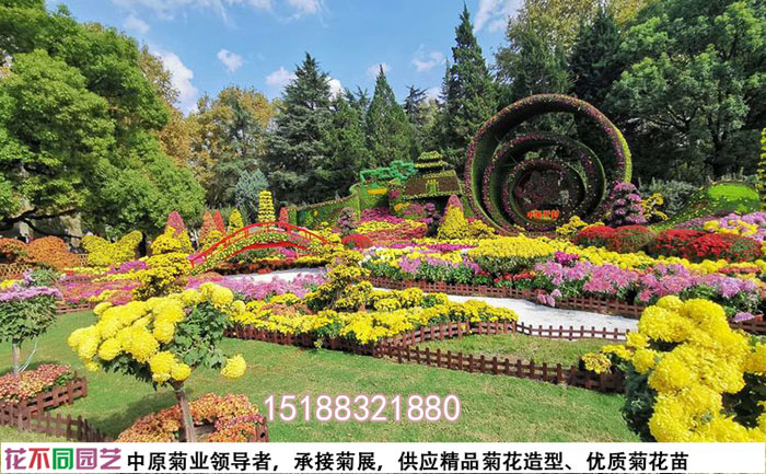 提升菊花展覽視覺(jué)效果圖
