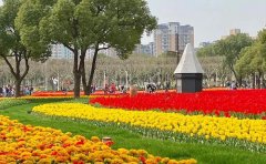 花海灌溉系統(tǒng)設(shè)計(jì)圖｜2024年智能節(jié)水技術(shù)方案與