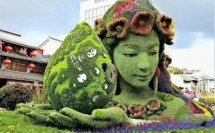 立體花壇五色草種苗指南｜全年養(yǎng)護方案