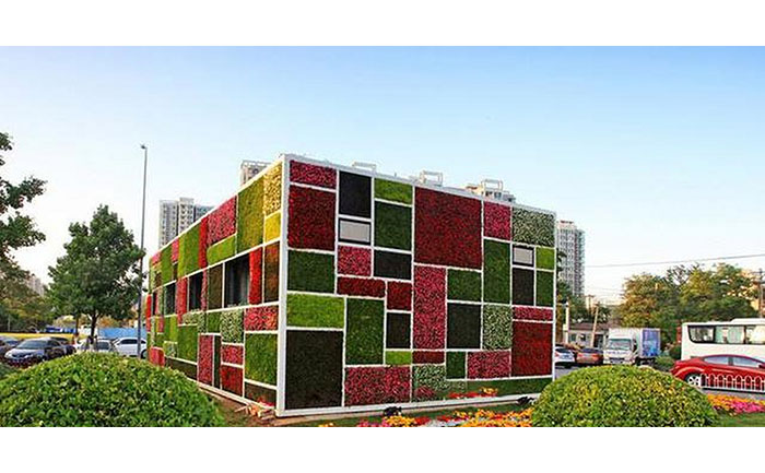 市政項(xiàng)目案例 五色草立體綠化墻工程實(shí)景圖