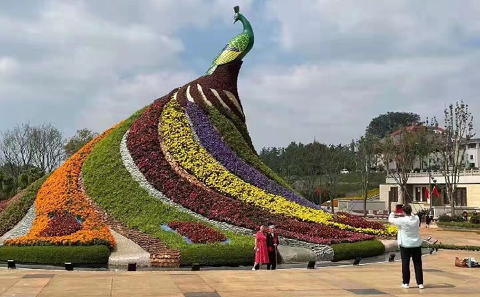 獲獎(jiǎng)景觀設(shè)計(jì)案例 城市公園五色草立體景觀實(shí)景圖